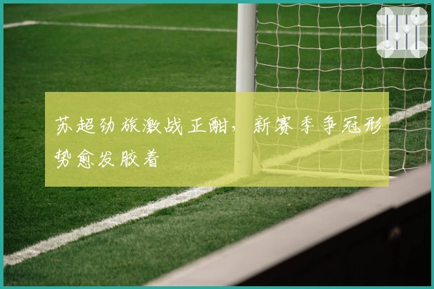 苏超劲旅激战正酣，新赛季争冠形势愈发胶着